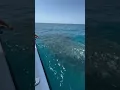 Download Lagu Ya ampun! Bagaimana mungkin seseorang bisa menangkap banyak ikan dengan jaring. Luar biasa. Saksi...