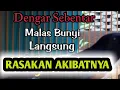 Download Lagu Pancingan GACOR Murai Batu EMOSI 100%Efektif bikin NGAMUK bongkar isian cililin kenari katem
