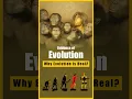 Evidence of Evolution Why Evolution Is Real HukPuk