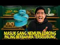 Download Lagu MASUK KE GANG DAN NEMUIN LORONG PALING BERBAHAYA YANG TERSELUBUNG! NGERI BANGET ADA COBRA LANGKA!