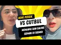 Lagu CUTBUL VS DEWI PERSIK MAKIN MEMAN4S  DAN SALING SER4NG DI SOSMED