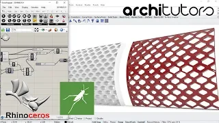 hexagonal cells in grasshopper in rhino architutors