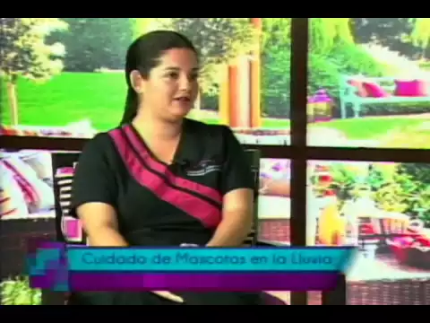 Cuidado de mascotas en la lluvia
