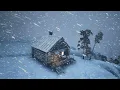 WIND STORM COLD BRUTAL Winter Wind Storm Cold Weather 2024-2025 EXTREME COLD Bone Chilling