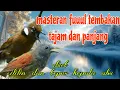 Lagu Fuuul tembakan rapat 🔥🔥 cililin dan tepus kepala abu