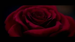 Bande-annonce 1 VOST