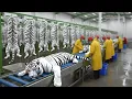 Lagu Inside the White tiger-Leather Factory: From Snake Skin to Luxury Jacket (Full Process)