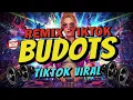 Lagu BEST OF TIKTOK BUDOTS PARTY DANCE | NONSTOP BUDOTS DISCO REMIX 2025