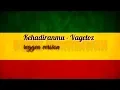 Download Lagu Lirik lagu - Kehadiranmu Reggea Version cover jovita aurel