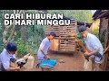 BAWA AYAM MUDA KERUMAH TEMAN