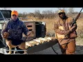 How To Rabbit Hunt With Beagles Country Stuff