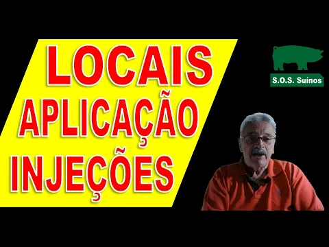 Download MP3 SUINOCULTURA: Locais de Aplicação das Injeções em Suínos