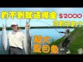 Download Lagu 【釣魚日記】打龜給2000的池子你釣不釣.......扛不起來的漁獲還要下水去搬.....…Taiwan girl fishingエビ釣り어업｜采蓁 Patti