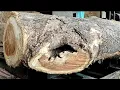 Download Lagu Ants die miserably!! Split into a thousand pieces in the wood hole of hell|| Sawmill