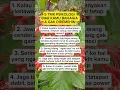 Download Lagu 5 Tips Psikologi Agar Kamu Bahagia Tidak Di Remehkan #shots #fypyoutube