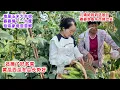 Download Lagu 儿媳给妈妈送闰月鞋，考虑到亲家母带娃买菜不方便，婆婆大热天摘一大筐玉米，让儿媳捎过去，还有很多瓜果蔬菜，地里的西瓜长势喜人