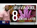 Sony Bravia X90L - 8 Months Later Best TV Pound For Pound