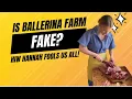 Ballerina Farm is an act