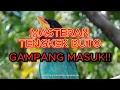 Download Lagu masteran wajib Tengkek Buto dengan jeda gampang masuk!!! #tengkekbuto #cendetmania #muraibatuisian