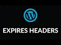 Add Expires Headers Leverage Browser Caching WordPress