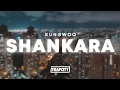 KungWoo - Shankara