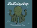Wandering Eye (Radio Edit) - Fat Freddy's Drop