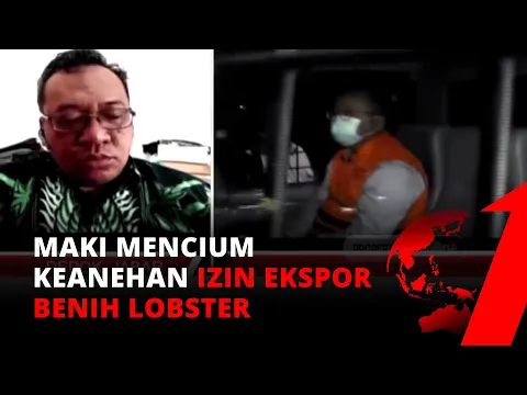 Soal Kasus Korupsi Ekspor Benur, Deputi Koordinator MAKI: Kami Melihatnya Ini Bukan Kebutuhan Negara