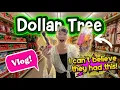 I CANT BELIEVE THEY HAD IT DOLLAR TREE VLOG THIS WAS UNEXPECTED
