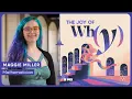 What Does the Fourth Dimension Actually Look Like? | PODCAST: The Joy of Why