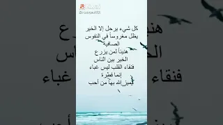 صفاء القلوب 