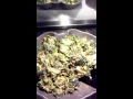 Ruby Tuesdays Fine salad Bar
