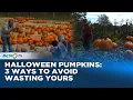 Lagu Don’t Waste Your Pumpkin! Expert Tips to Eat, Donate \u0026 Compost