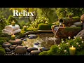 Download Lagu Healing Music + Gentle Water Sounds 🌿 Inner Peace \u0026 Stress Reduction