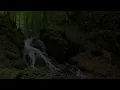 “Glades of Skyrim” (Music by Jeremy Soule)