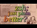 zsh vs bash why i switched how to set up the ultimate custom shell