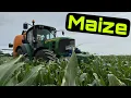 Download Lagu John Deere Maize Spraying, Mower Fixing, and Big Load of Feed!