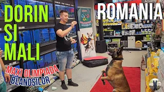 RO: Dorin si Mali - Maxi Olimpiada Blanosilor | MaxiPet si GreenSoundMusic