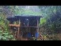Download Lagu Aktivitas Di Kebun Hutan Menanam Kopi Untuk Masa Depan - Di Guyur Hujan Deras 🌧️ Sore Hari 