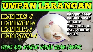 Download Umpan Ikan Mas, Patin, Nila, Bawal,  KOLAM HARIAN || Rekomendasi Kolam Pemancingan Ikan Campur MP3