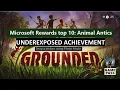 Grounded Underexposed Achievement