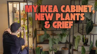 Repotting Small Plants - Ikea Cabinet Refresh Life Updates