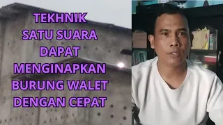 tekhnik satu suara dapat menginapkan burung walet dengan cepat mj walet succsess waletpemula