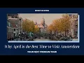 Why April is the Best Time to Visit Amsterdam