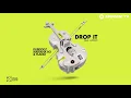 Dubdogz, Mariana Bo, Flakkë - Drop It (feat. Luisah) [Official Audio]