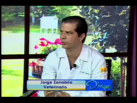 Mitos de la esterilización de mascotas