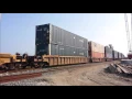 FEC Train 202 w Gator Train Chaser