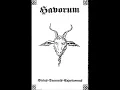 Download Lagu Havorum - Occultus Veneficus