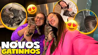 MINHA AMIGA ADOTOU GATINHOS E FUI VISITAR ELES PELA PRIMEIRA VEZ