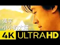 Lagu 張宇 Phil Chang -  小小的太陽 Little Sun 4K MV (Official 4K UltraHD Video)
