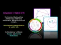 TExES 4-8 115 Math Exam Competency 17 Quiz 1 of 2